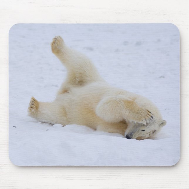 Tapis De Souris ours polaire, Ursus maritimus, ourson roulant (Devant)