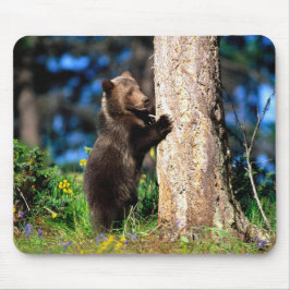 Tapis de souris Ourson Grizzly d'Alaska