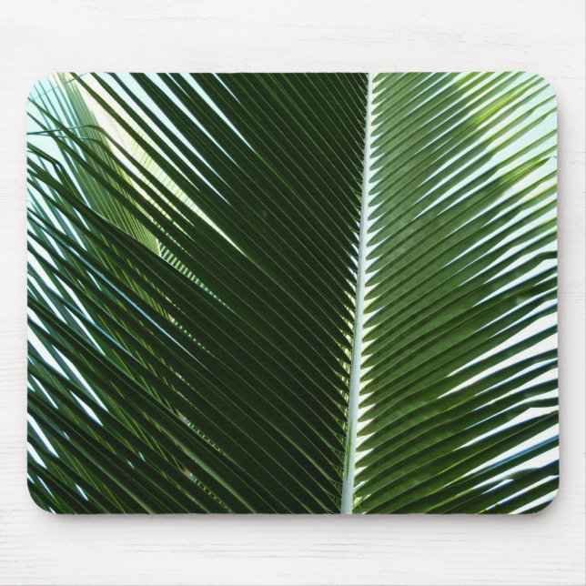 Tapis De Souris Overlapping Palm Fronds Tropical Green Abstract (Devant)