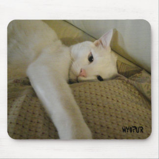 TAPIS DE SOURIS P5200323, P5110246, P4210080, P5160291, P419005...