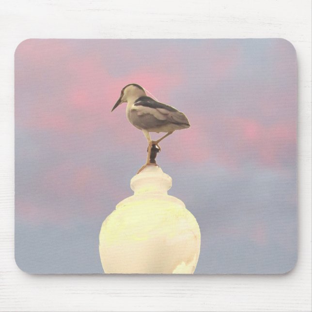 Tapis De Souris Pad de souris - Héron de nuit à couronne noire (Devant)