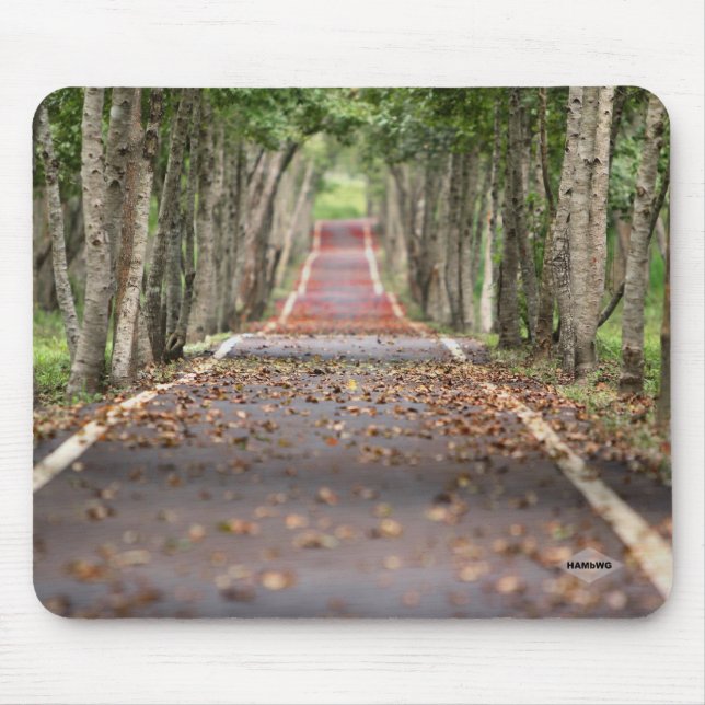 Tapis De Souris Pad de souris longue route HAMbWG (Devant)