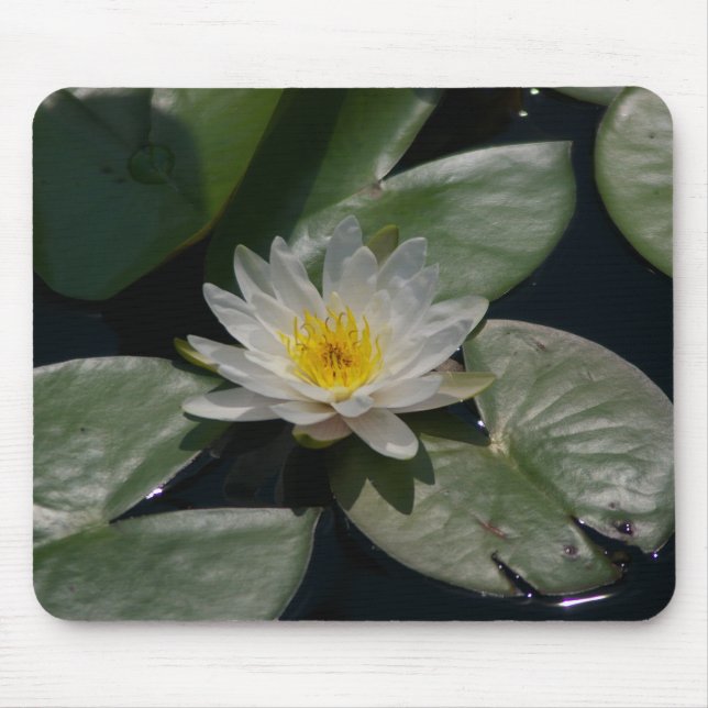 Tapis De Souris Pad de souris Nénuphar Lotus blanc (Devant)