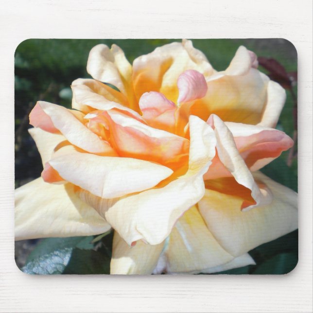 Tapis De Souris Pad de souris Rose Apricot (Devant)
