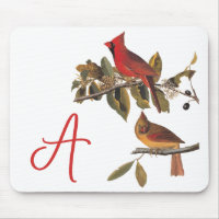 Paire cardinale Audubon en amandiers sauvages