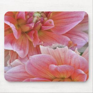 Tapis De Souris Paire de fleurs de Dahlia, Dahlia spp. ,