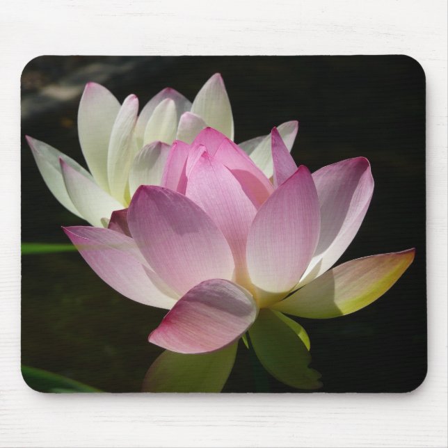 Tapis De Souris Paire de fleurs de Lotus II (Devant)