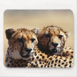 Tapis de souris paire de guépards mignons