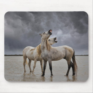 Tapis De Souris Paire de Stallions de Cheval de Camargue, Sud de l