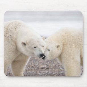Tapis De Souris Paire mignonne d'ours polaires amoureux