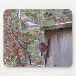 Tapis De Souris Paires Mousepad d'oiseau bleu