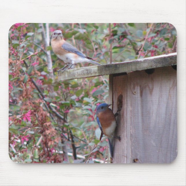 Tapis De Souris Paires Mousepad d'oiseau bleu (Devant)