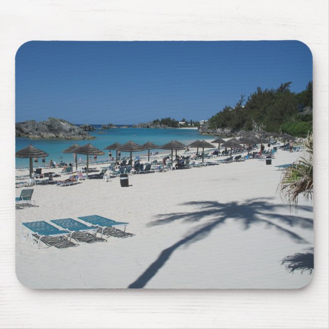 Tapis De Souris Palmier (Devant)