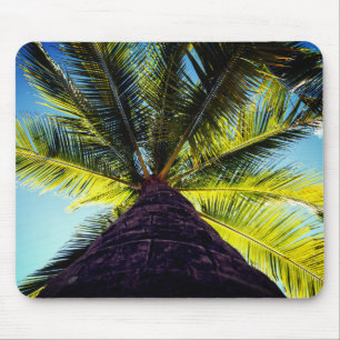 Tapis De Souris Palmier tropical