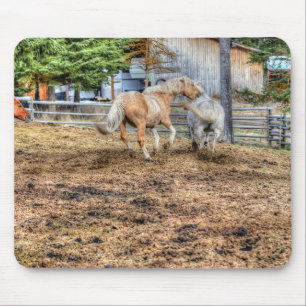 Tapis De Souris Palomino et Cheval de Ranch Blanc
