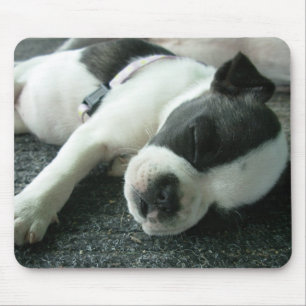 Tapis De Souris panda