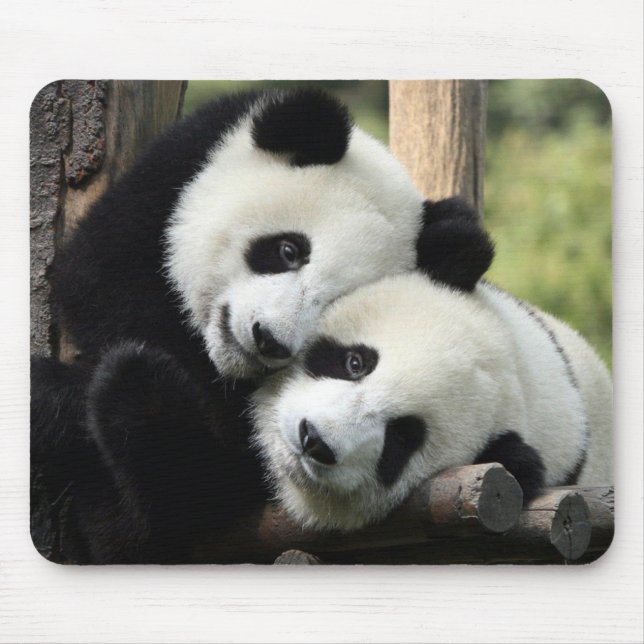 Tapis De Souris Panda Bears (Devant)