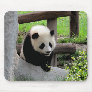 Tapis De Souris Panda bébé