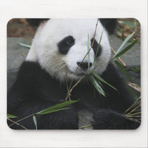 Tapis De Souris Panda géant