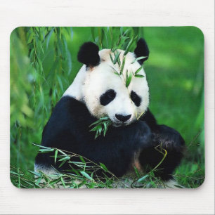 Tapis De Souris Panda mangeant le feuille