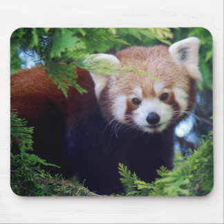 Tapis De Souris Panda rouge Mousepad