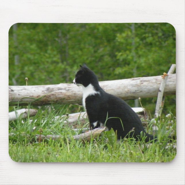 Tapis De Souris Panier de souris de chat de pays (Devant)