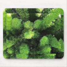 Panier de souris Green Fern