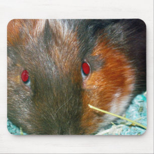 Tapis De Souris Panier de souris Hamster