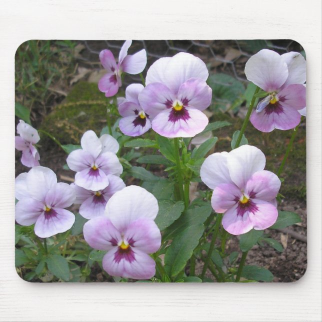 Tapis De Souris Pansies (Devant)