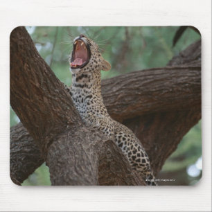 Tapis De Souris Panthère