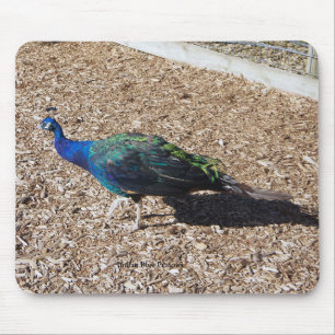 Tapis de souris Paon bleu indien