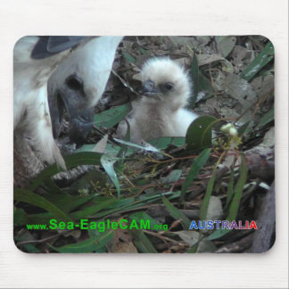 Tapis De Souris Papa avec S2 Mousepad 5 horizontaux