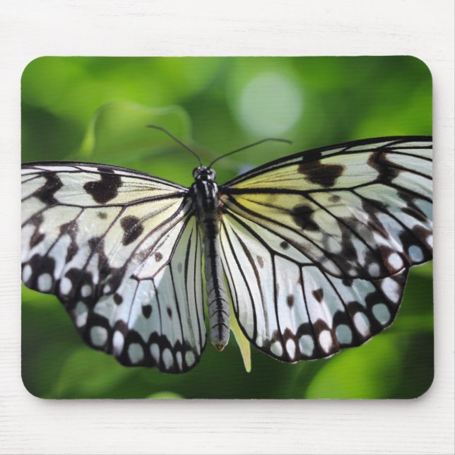 Tapis De Souris Paperkite papillon (Devant)