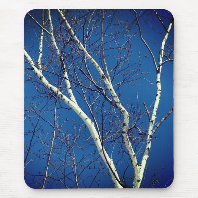 Tapis De Souris Papier blanc Arbre à bouleau Ciel bleu Nature (Devant)