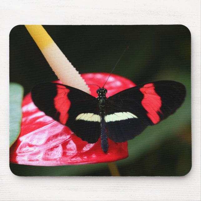 Tapis De Souris Papillon (Devant)