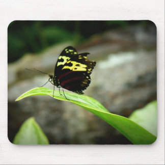 Tapis De Souris Papillon