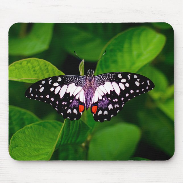 Tapis de souris papillon (Devant)