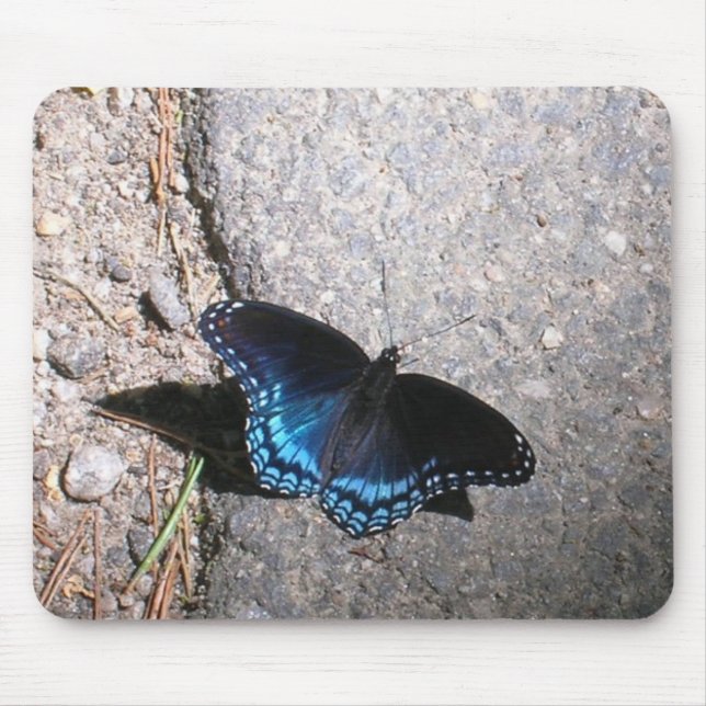 Tapis De Souris Papillon amiral à taches rouges (Devant)