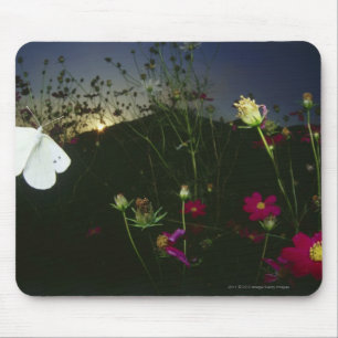 Tapis De Souris Papillon blanc en vol au coucher du soleil