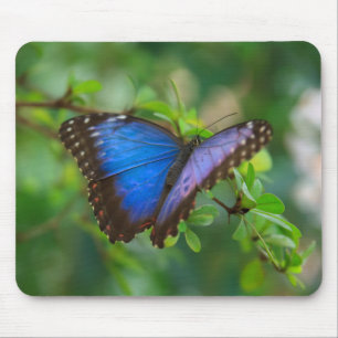 Tapis De Souris Papillon bleu de Morpho
