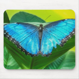 Tapis De Souris Papillon bleu Morpho Floral Nature Art