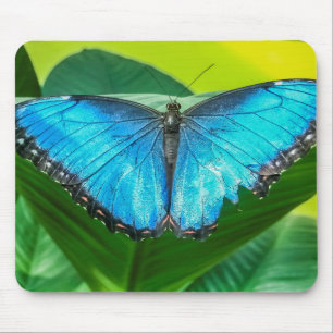 Tapis De Souris Papillon bleu Morpho Floral Nature Art
