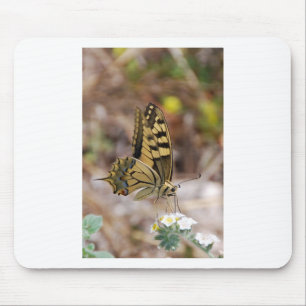 Tapis De Souris Papillon Brun et Blanc