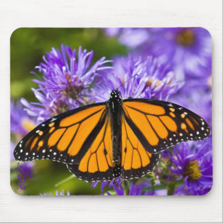 Tapis De Souris Papillon de monarque de Mousepad sur les asters