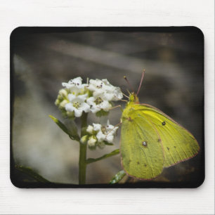 Tapis De Souris Papillon jaune