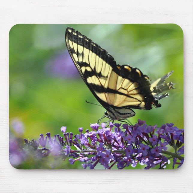 Tapis De Souris Papillon jaune et noir sur lavande (Devant)