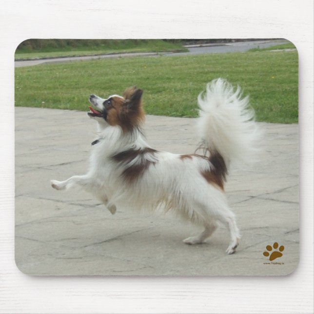 Tapis De Souris Papillon Jumping (Devant)
