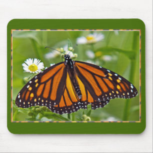 Tapis De Souris Papillon monarque