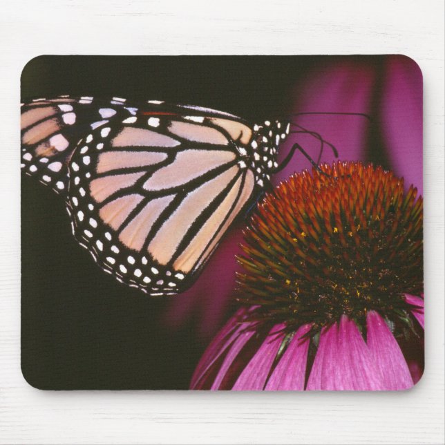 Tapis De Souris Papillon monarque et fleurs pourpres (Devant)