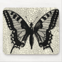 Papillon noir et blanc sur Arrière - plan fissuré